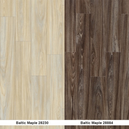 Baltic Maple