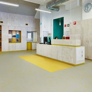 Colorette AcousticPlus LPX