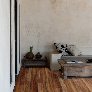 Persian Walnut